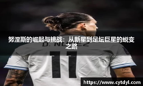 雷火电竞官方网站入口