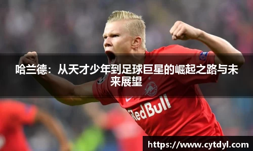 哈兰德：从天才少年到足球巨星的崛起之路与未来展望